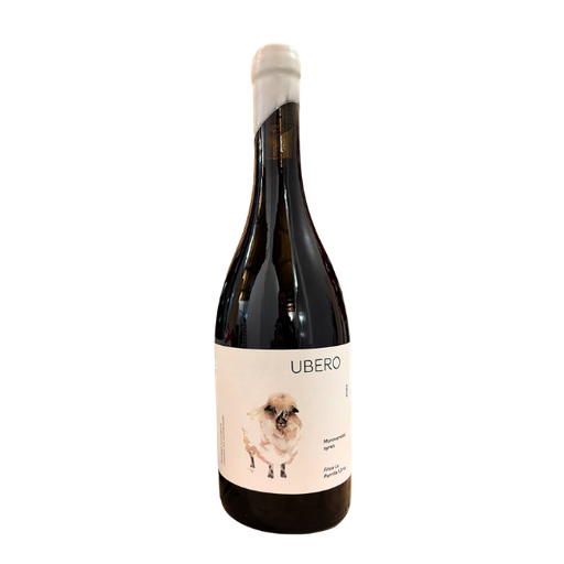 [QQV003] Ubero Syrah  Bodega Zarco