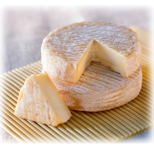 [QQ0132] Pérail